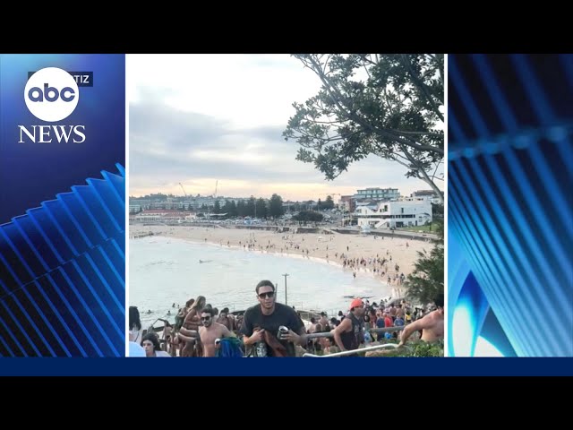 11 dead after shooting targeting Jewish community at Australia beach, premier says