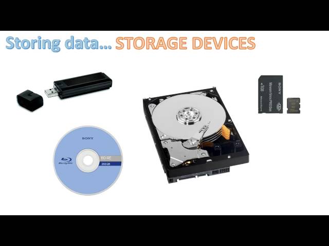 Input, Output and Storage Devices