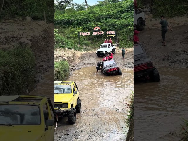 Grasshopper Combat Jeep Adventure off-road kemuning #truckoffroad #automobile #motoroffroad #offroad