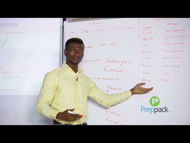 Classification of living things Part A