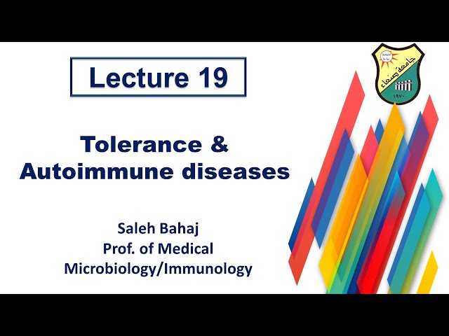 19 Tolerance & Autoimmune diseases