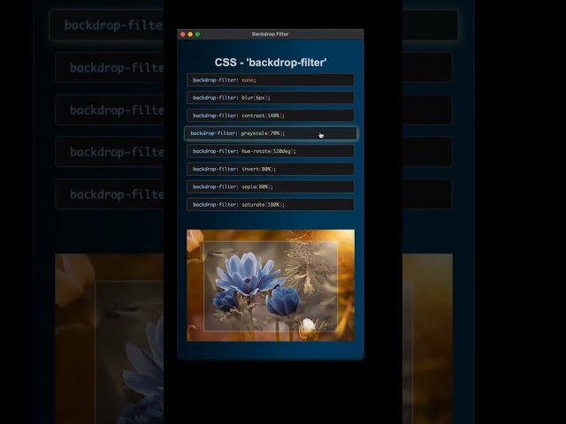 What's Possible with CSS Background Filters in Web Development? #webdevelopment #shorts