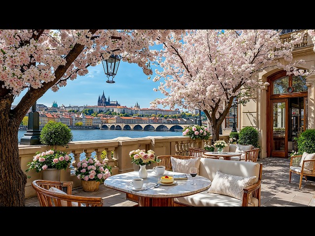 Cherry Blossom Spring Jazz in Prague ☕ Riverside Café Ambience & Smooth Jazz Music for Study & Relax