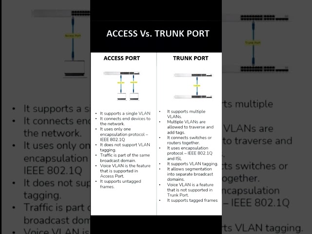 Access Port vs Trunk Port Explained | VLAN Basics for Beginners (CCNA Tutorial)