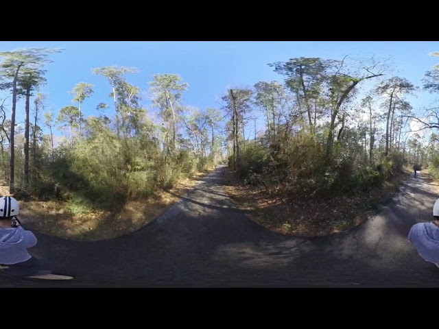 Jesse Jones Park Trails