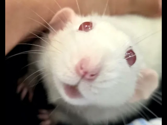 Cluster Computing 17-12-2025 Part 2 chap 5