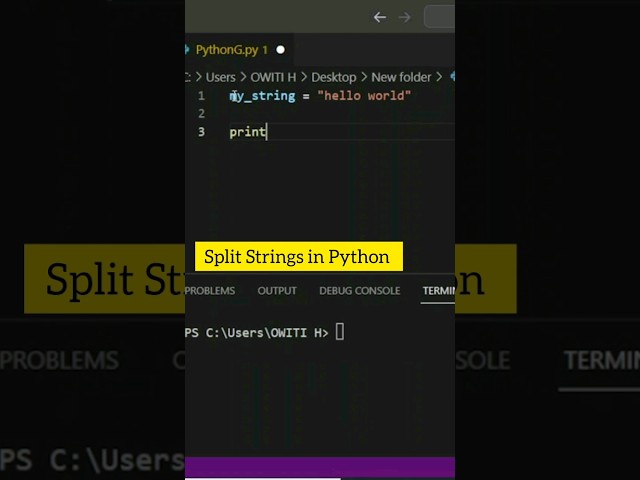 Split Strings With Python(Simple) #pythonprogramming