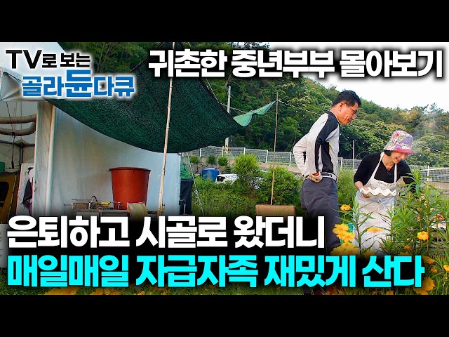 🌿이제 나를 위해 살 때. 은퇴 부부가 귀촌 선택했더니🌿 매일 자급자족해 먹는 재미로 잘 먹고 산다｜귀촌 부부 한시간 몰아보기｜한국기행｜#tv로보는골라듄다큐