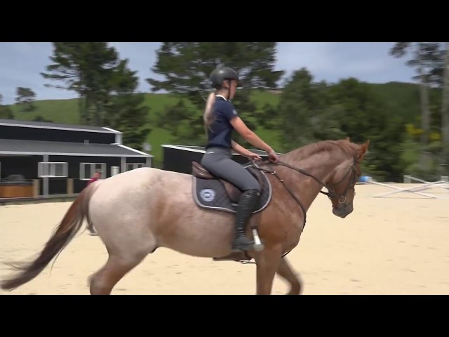How to fix a horse going  behind the bit and becoming heavy.