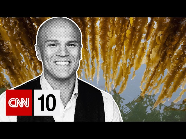 How seaweed could help turn the tide on plastic pollution | March 31, 2026