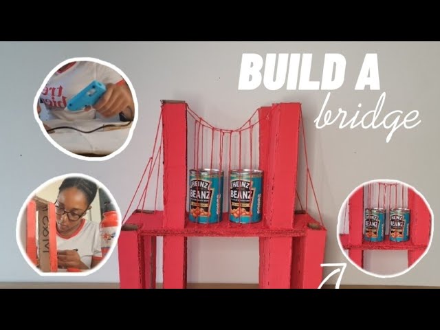 Build a Bridge Engineering Challenge