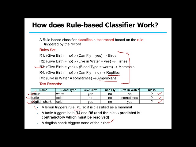 5. Classification: Technique (Rule Based Classifier Part-I)