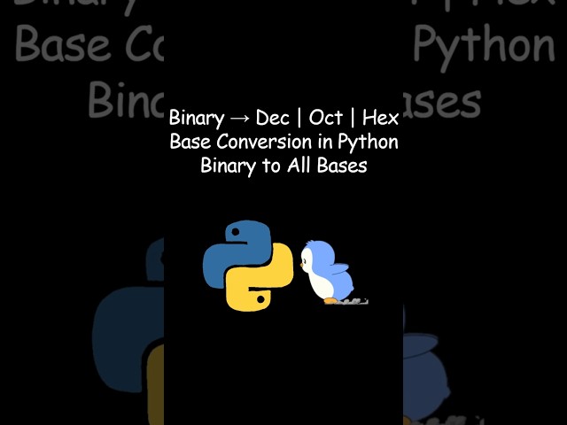 Binary to Decimal, Octal & Hexadecimal in Python | Easy Conversion #python #coding