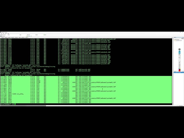 Oracle High Memory Usage