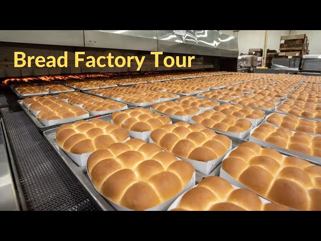 Bread Production Process Inside the Factory, The Best Modern Food Processing Machines