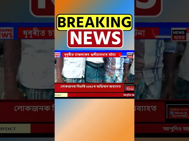 Dhubri ত চাঞ্চল্যকৰ গুলীচালনাৰ ঘটনা। Assamese News #shorts 21/09/24