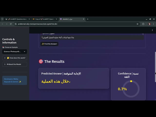 Build an AI App with Python & Streamlit (Arabic NLP)