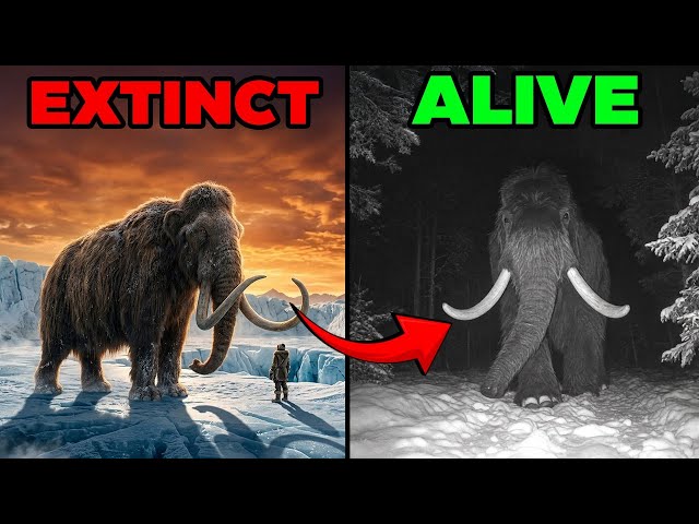 10 "Extinct" Animals That Might Still Be Alive