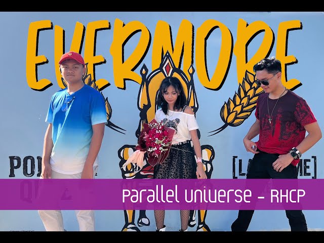 Parallel Universe - Red Hot Chili Peppers (cover)