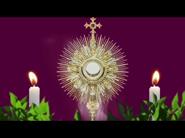 FIVE MINUTES WITH JESUS IN THE BLESSED SACRAMENT Monday, September 7, 2026
