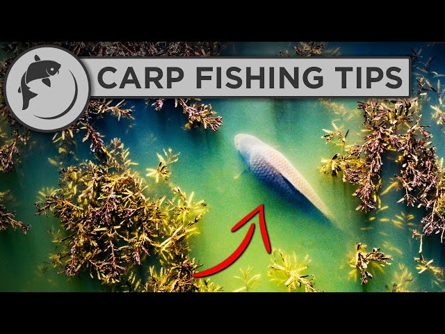 How To Catch MORE Carp This Spring - Carp Fishing Advice