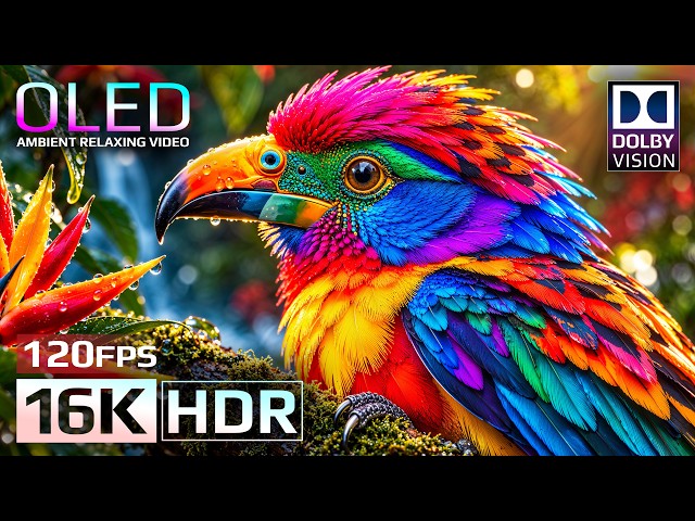 This is OLED Earth - Nature & Animals Dolby Vision HDR 16K 120fps (4K & 8K Video ULTRA HD TVs)
