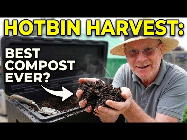 Harvesting My HOTBIN Composter, Did It Actually Work?