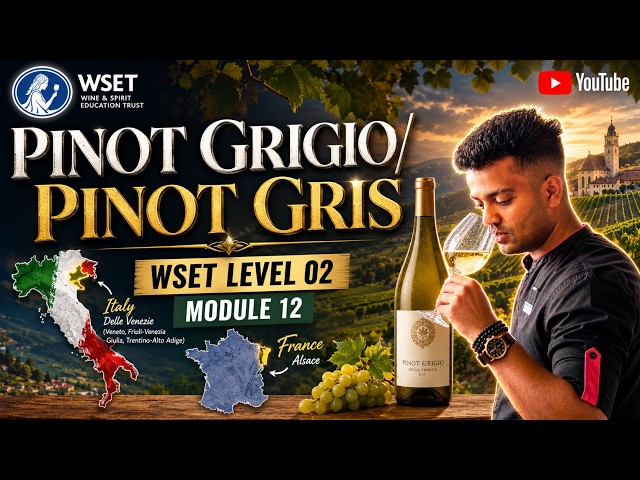 WSET Level 2 Pinot Grigio & Pinot Gris | Module 12 | Complete Exam Guide #wset #WineStudy #srilanka