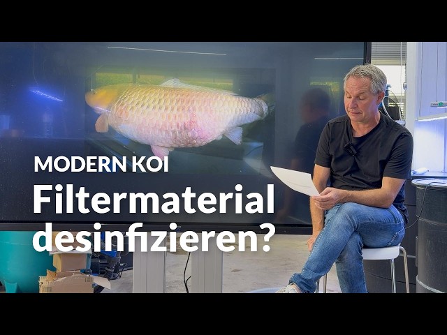 What is wrong with this Koi and is it "contagious"? | Modern Koi Blog #8143