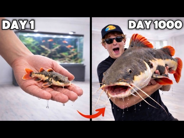I Raised a Baby River Monster for 1000 Days..
