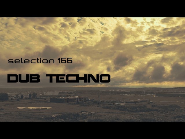 DUB TECHNO || Selection 166 || Resonant Meaning