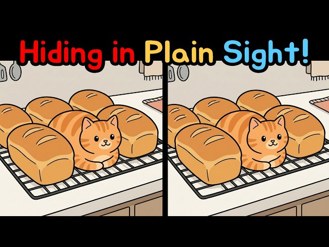Spot the Difference: Hiding in Plain Sight!