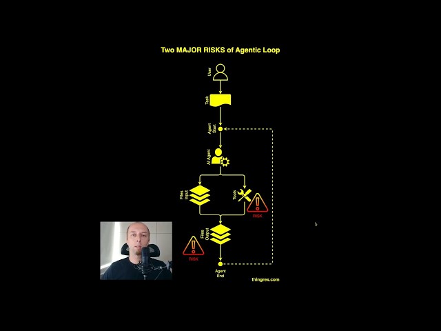 Two MAJOR RISKS of Agentic Development Loop