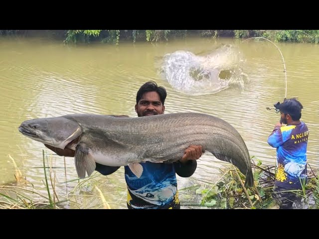 Spoon Fishing Techniques 🎣 | Epic Monster Boal Fish Hunting | Fishing Video | Pathan Fishing