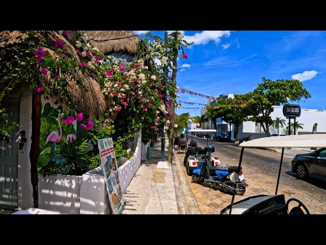 Walking a Few Streets of Progreso, Mexico. NOT BAD, if I might say so!!