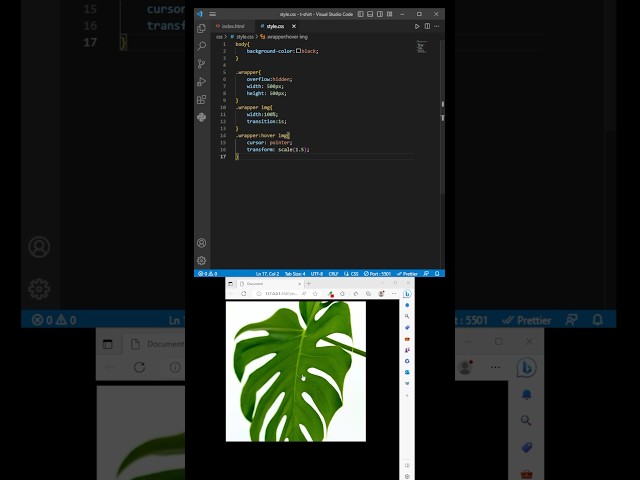 zoom out zoom in effect using HTML & css #coding #html #webdesign