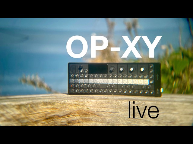 🔴 Jam en vivo con OP-XY en el mar del Japón