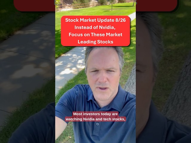 8/26 Stock Market Update Instead of Nvidia, Focus on These Market Leading Stocks