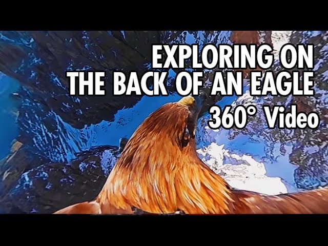 Exploring the Dolomites from an Eagle's Point of View in 360 (4K)