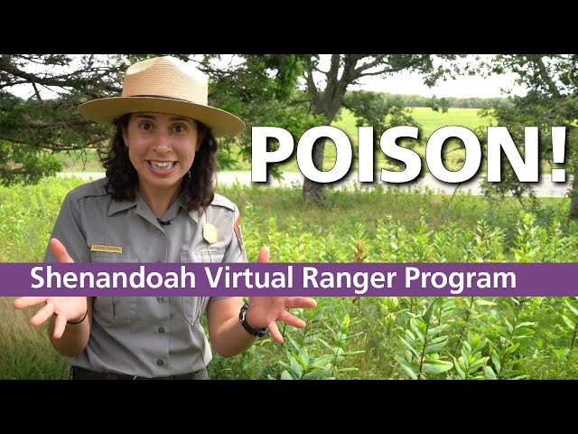 Virtual Ranger Program: Poison