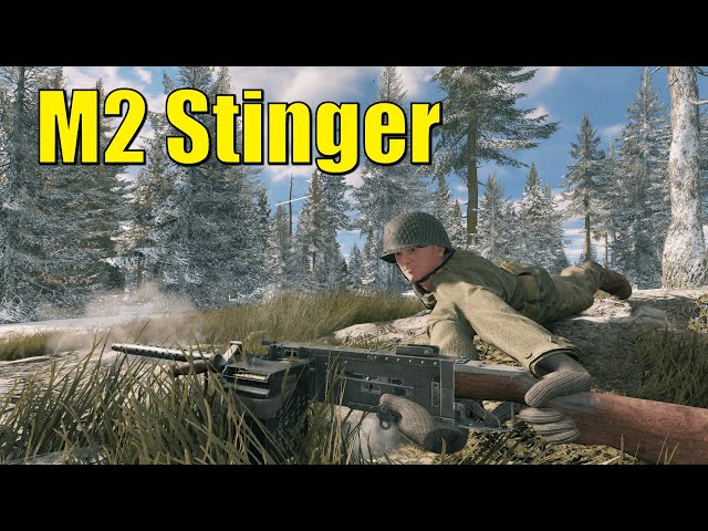 Float Like a Butterfly, Sting Like a 1200 RPM Machine Gun | Enlisted M2 Stinger