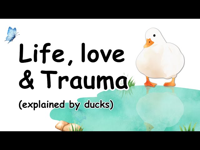 Life (explained by ducks)