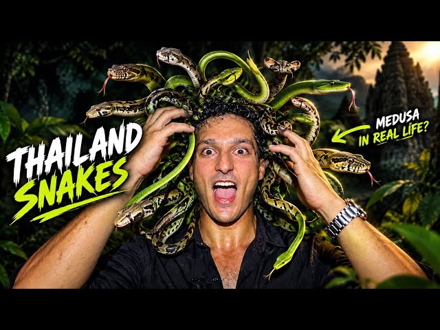 🇹🇭 THAILAND WILDLIFE – PART 3 | SEARCHING FOR THE RETICULATED PYTHON 🐍
