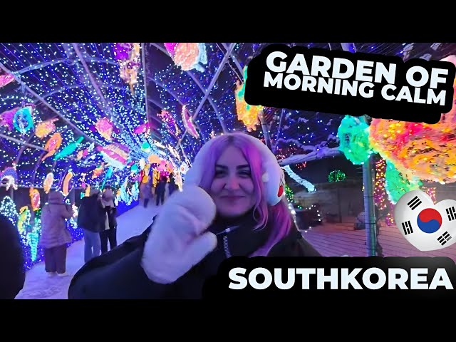 Garden of Morning Calm Lighting Festival South Korea Walk & K-Drama Spots!