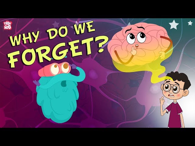 Why Do We Forget? | The Dr. Binocs Show | Best Learning Videos For Kids | Peekaboo Kidz