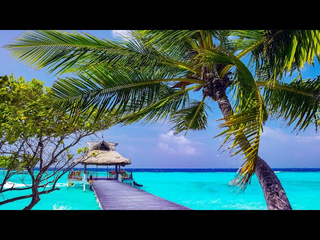 Beach Bossa Nova Jazz Music 2026