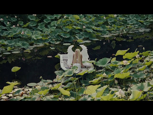 ELENA ROSE - ALMA