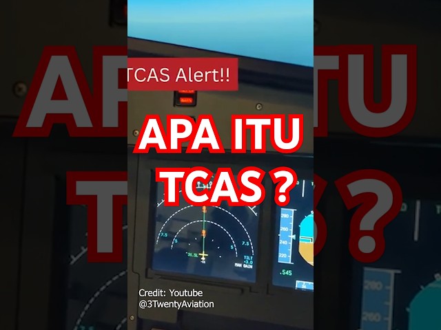 What Is TCAS? #airplane #captainvincent #aviation #aeroplane #aircrew #tcas #aviation #aircraft