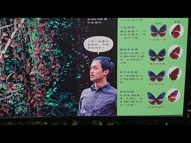 茂林國家風景區4K