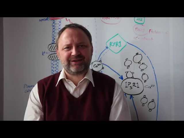 MSBase: An International Multiple Sclerosis Database